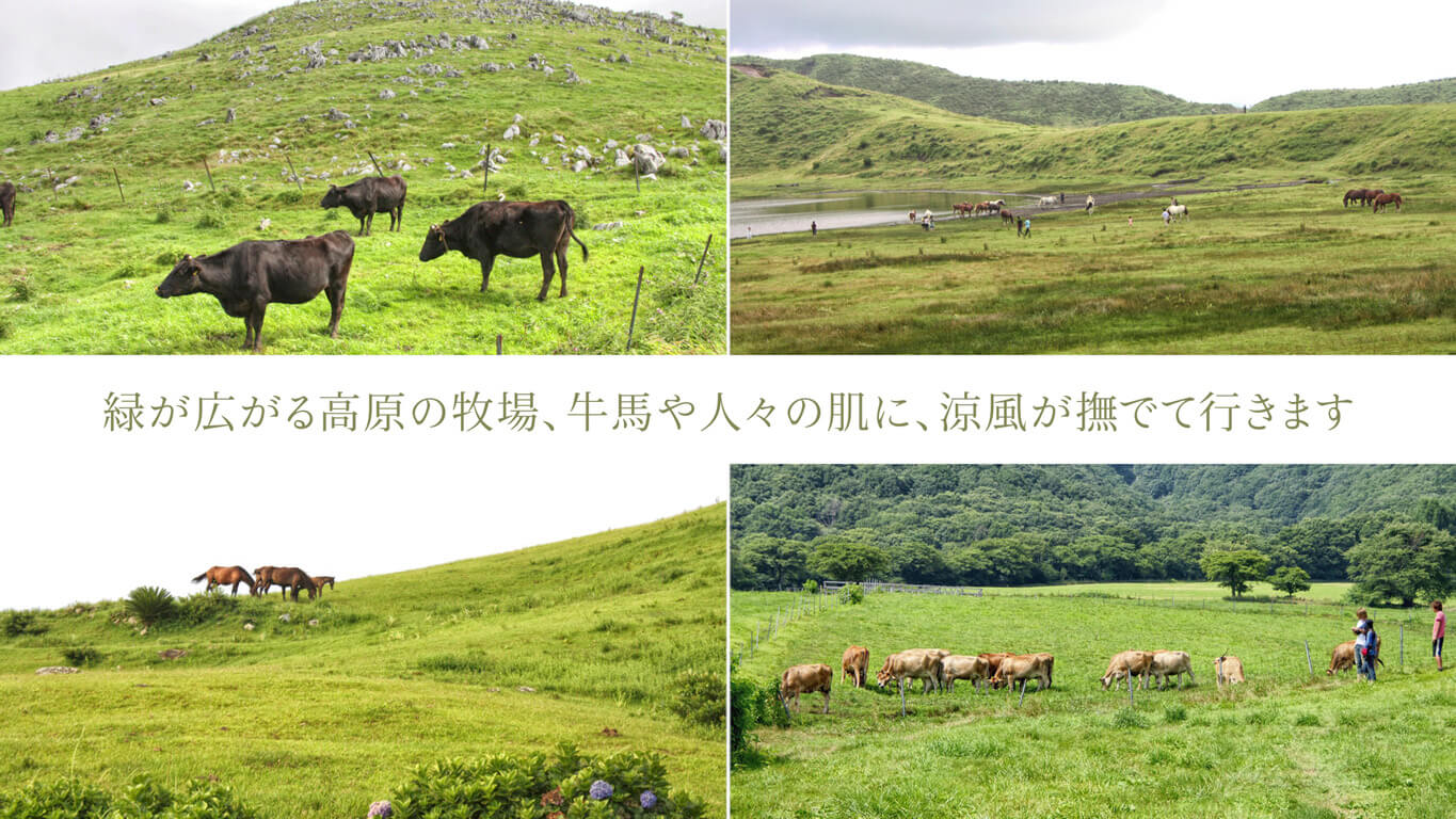 緑が広がる高原の牧場、牛馬や人々の肌に、涼風が撫でて行きます